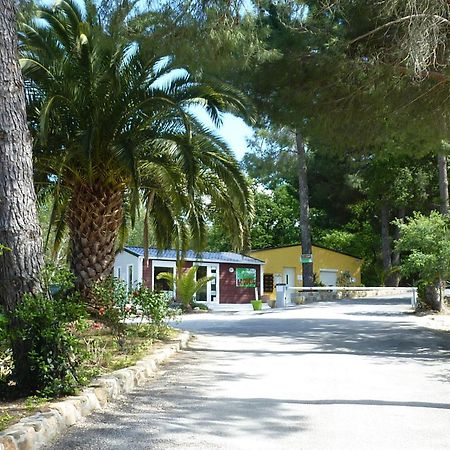 Camping des Alberes Laroque-des-Albères Extérieur photo