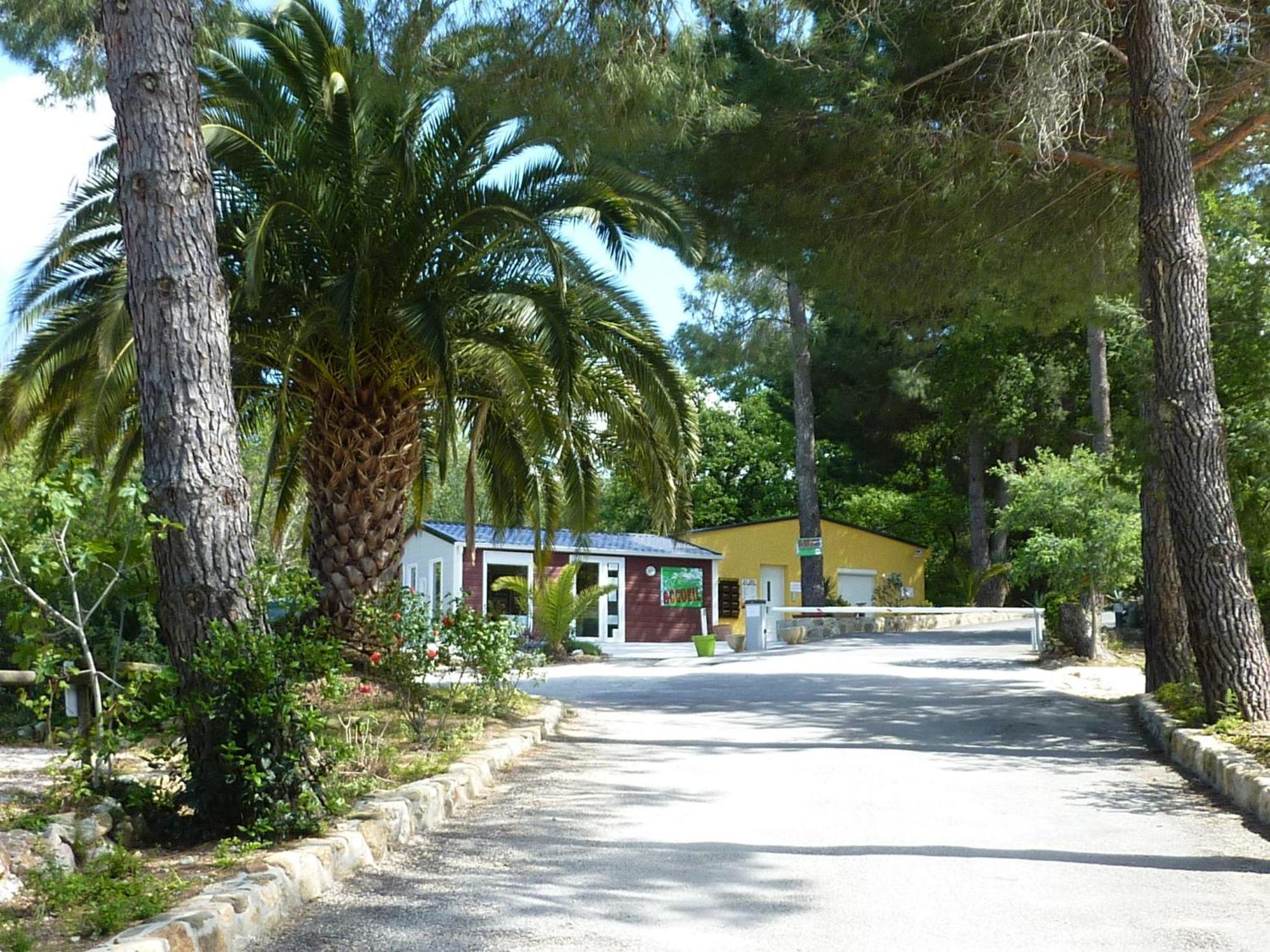 Camping des Alberes Laroque-des-Albères Extérieur photo