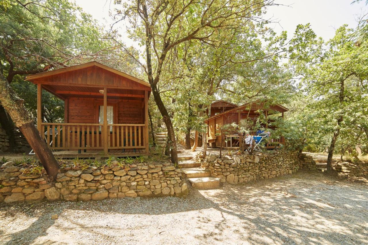 Camping des Alberes Laroque-des-Albères Extérieur photo